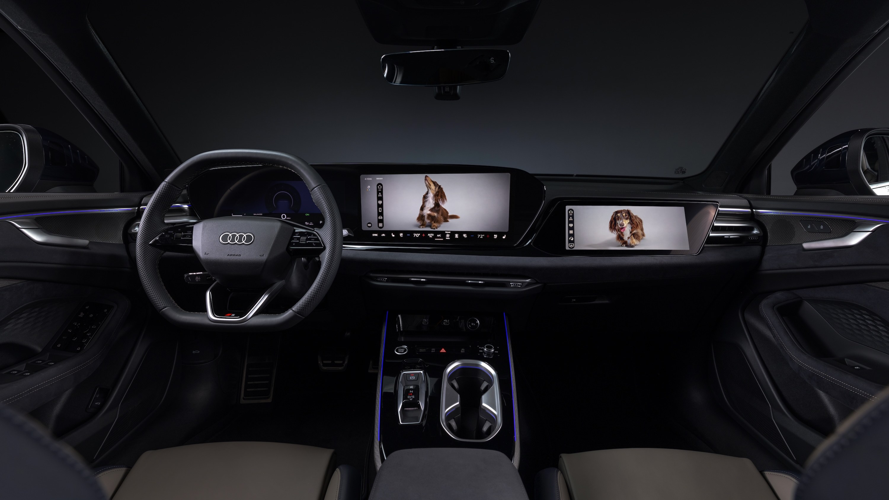 Audi interior with a personal dog photo on both MMI displays
