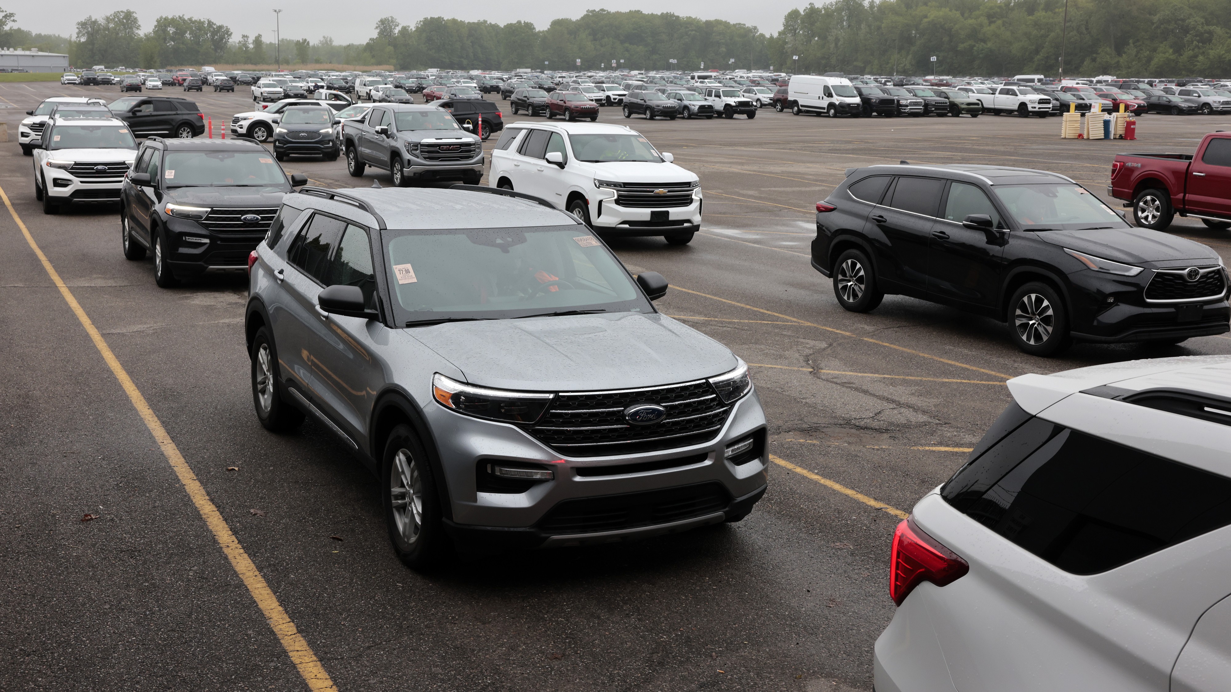 Rows of used vehicles lined up before a sale at the Manheim Detroit auction