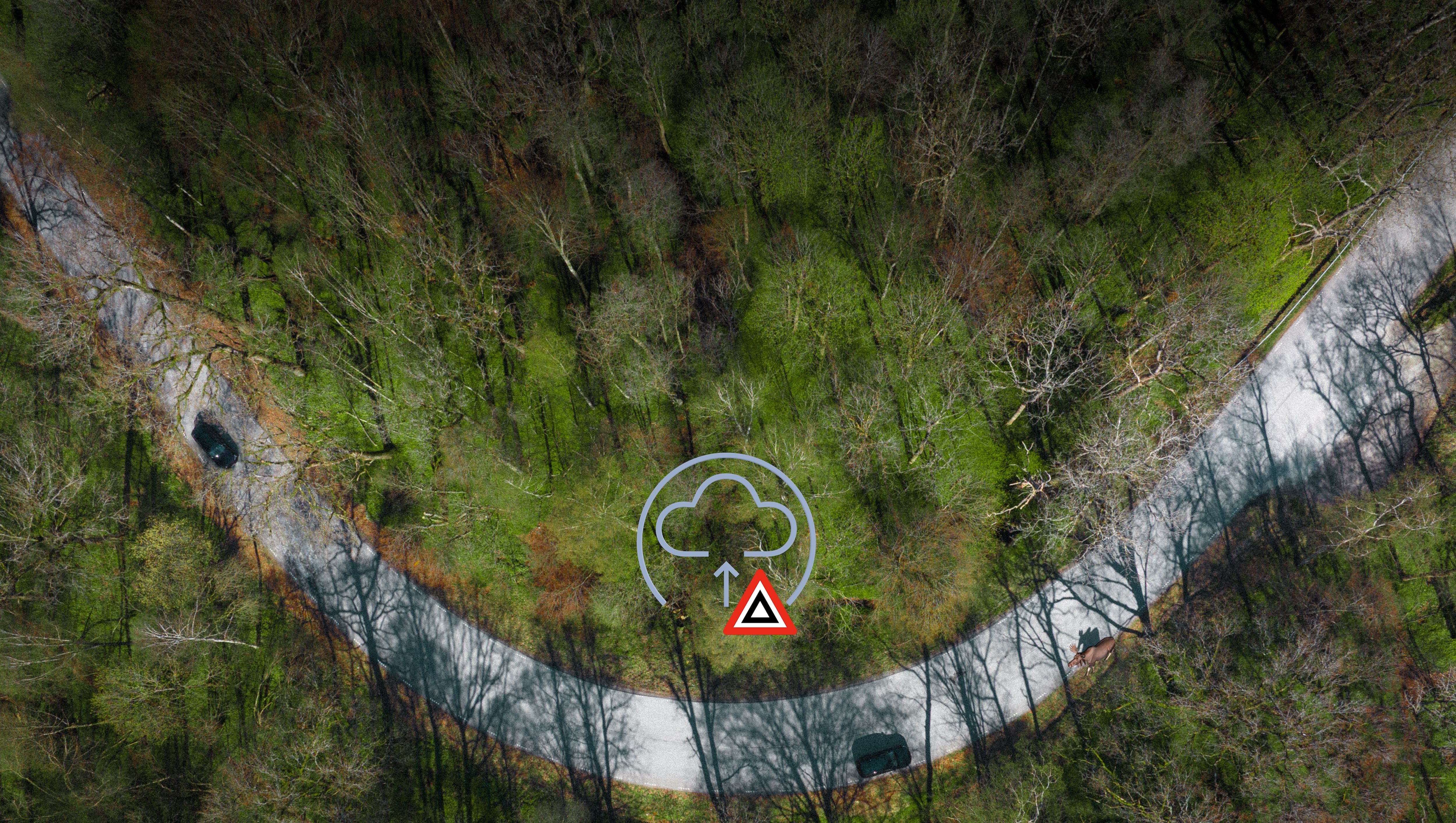 Volvo graphic showing a Large Animal Alert shared between connected cars