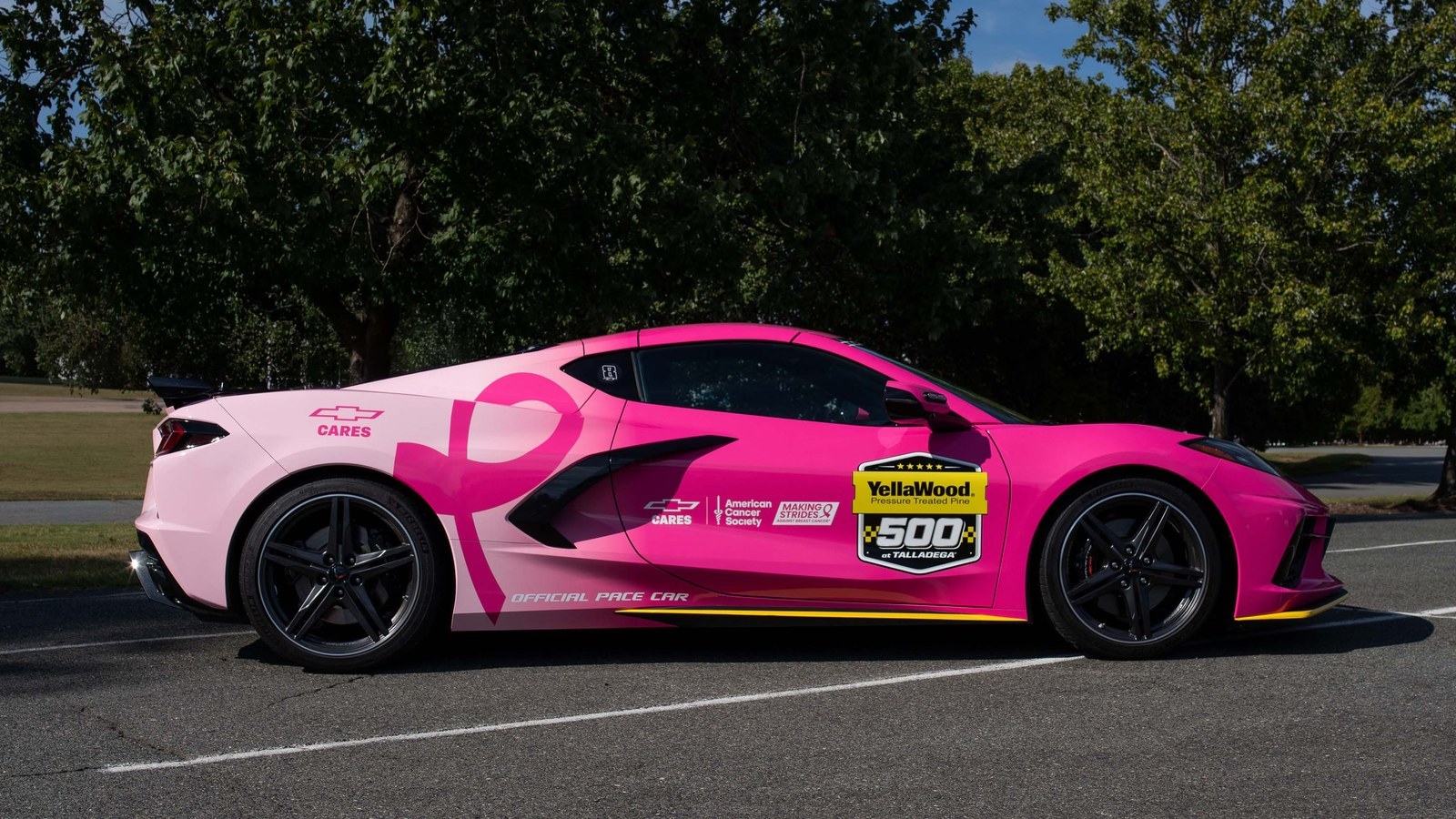 Pink Chevrolet Corvette Stingray NASCAR pace car in profile