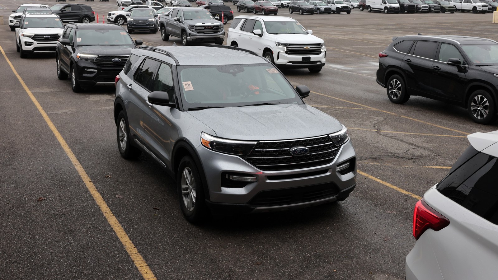 Used SUVs and pickups lined up in a Manheim auction lot
