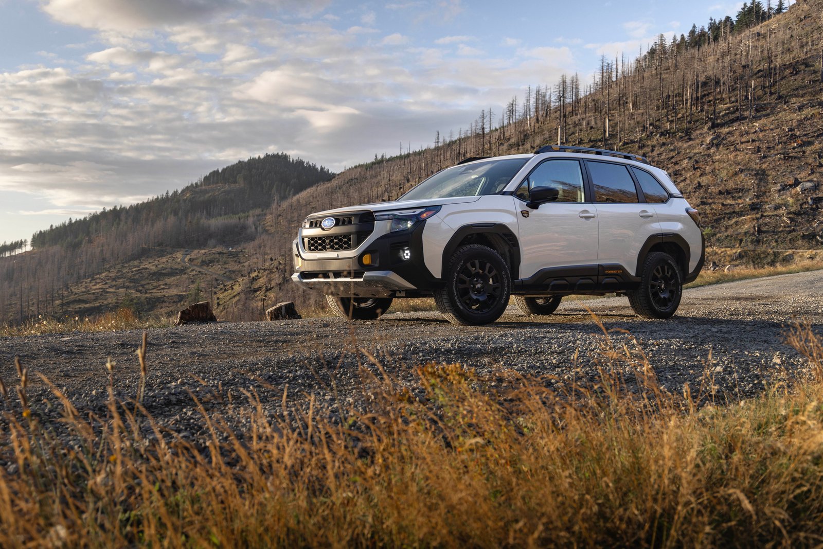White 2026 Subaru Forester Wilderness on a gravel mountain road