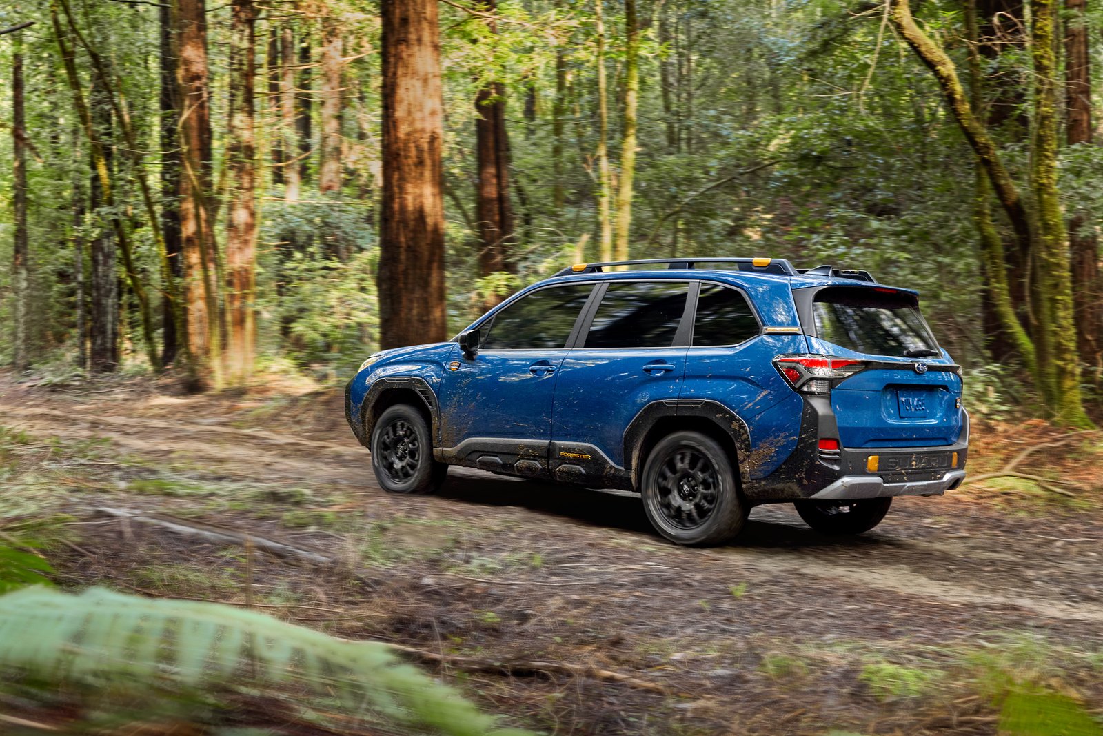 027 Subaru Forester Wilderness Hybrid rear three-quarter driving on forest trail
