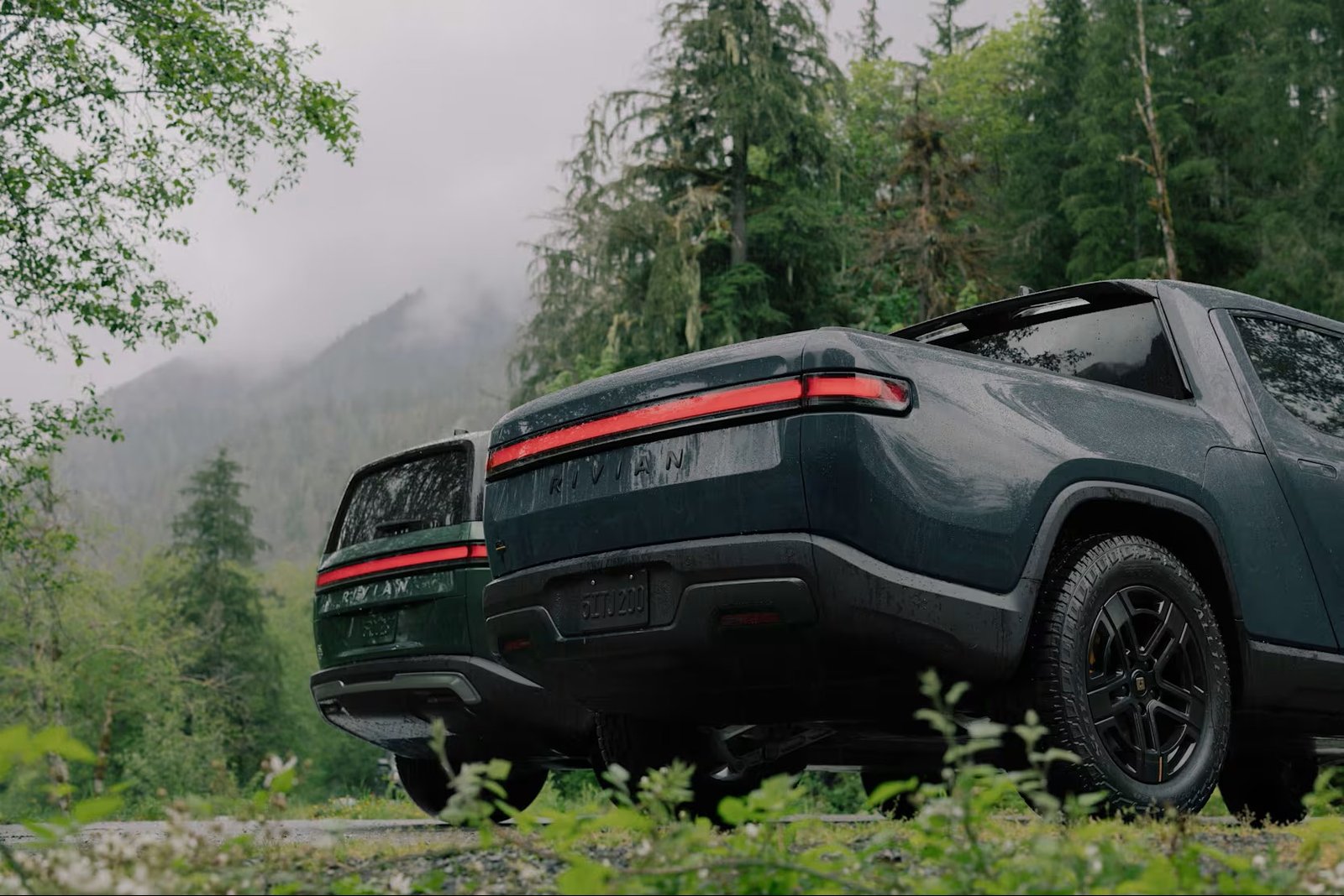Rivian R1S and R1T rear view in a misty forest