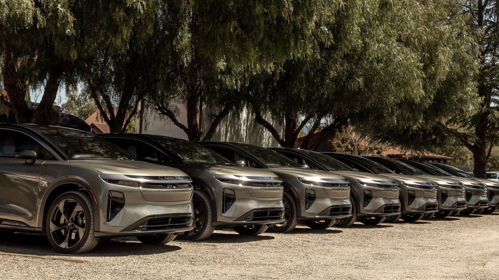 Row of Lucid Gravity electric SUVs parked in a line