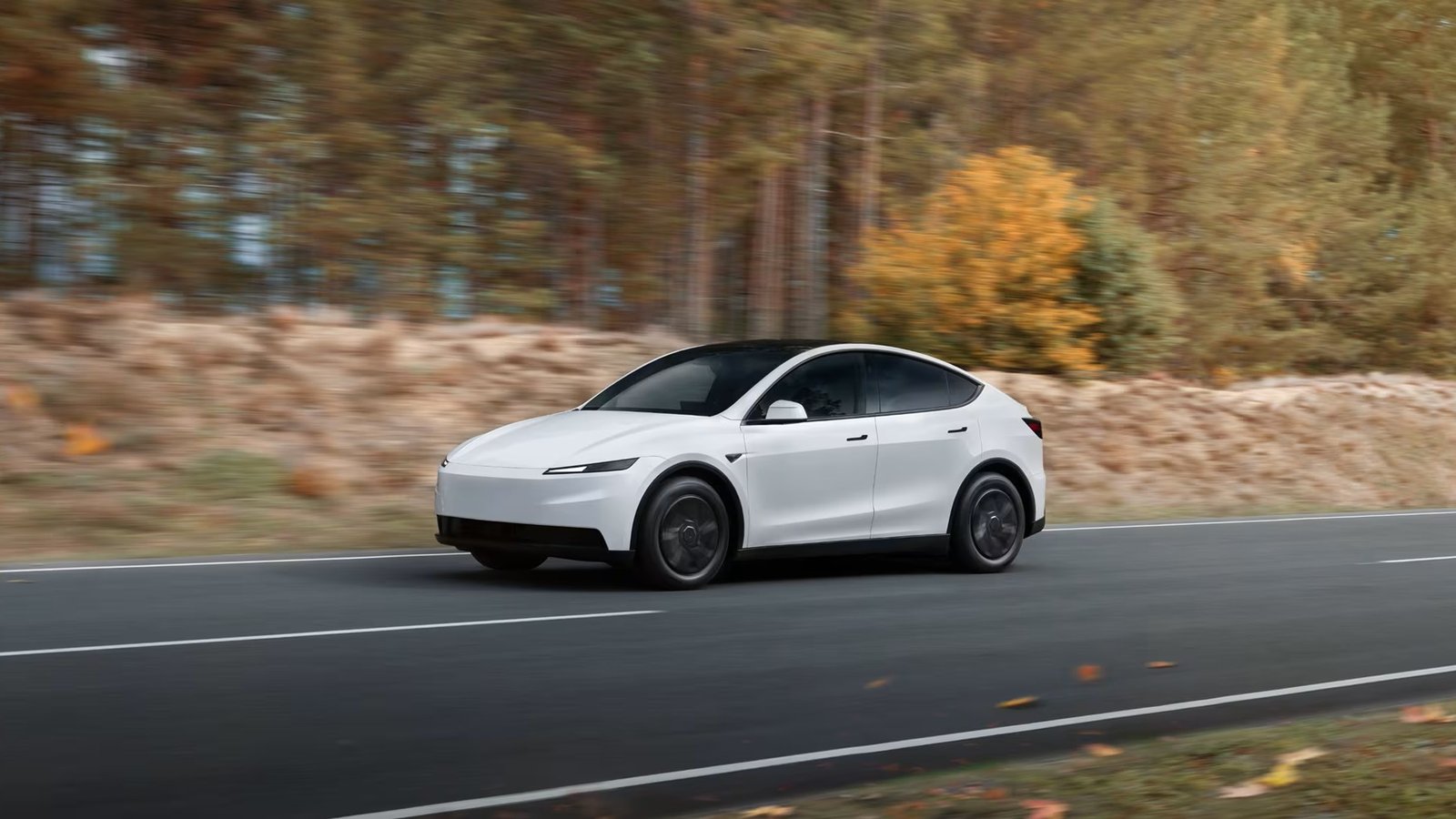 White 2026 Tesla Model Y Standard driving past an autumn forest