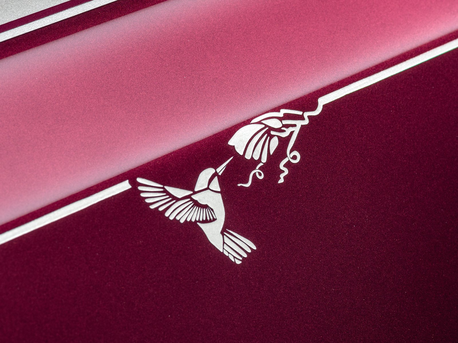 Hand-painted hummingbird on Phantom Hummingbird White Sands coachline