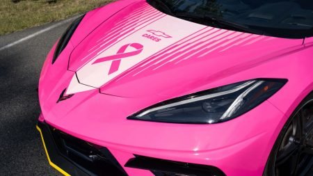 Pink ribbon and Chevy Cares graphics on Corvette pace car hood