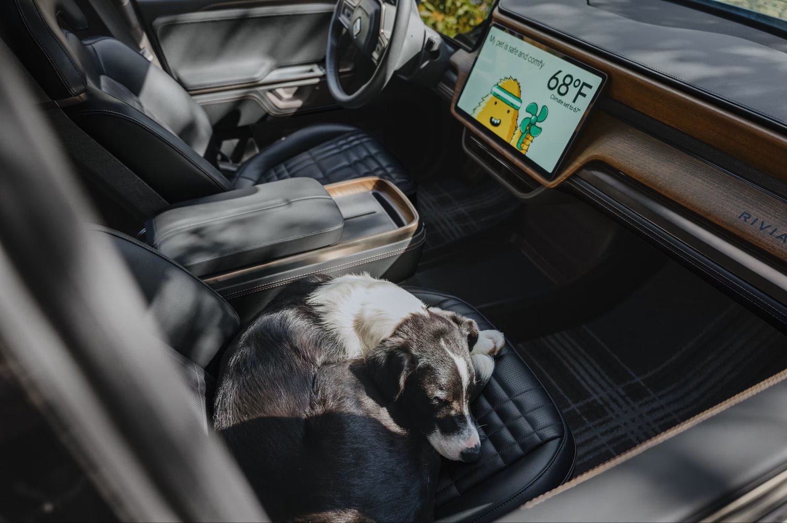 Dog asleep on a Rivian front seat with the pet climate screen on
