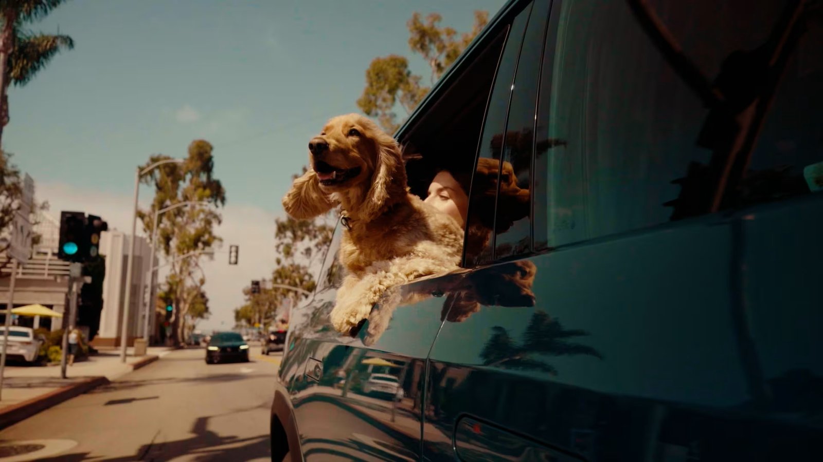 Dog leaning out of the rear window of a moving Rivian
