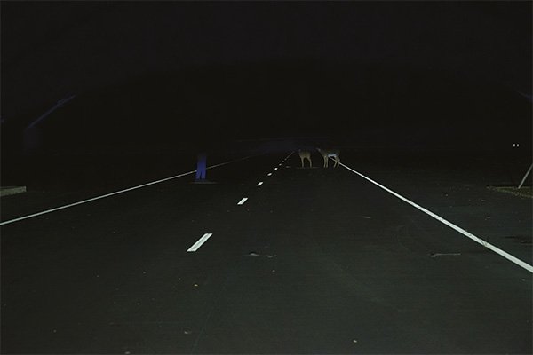 View down a dark test road lit by a vehicle’s low beams