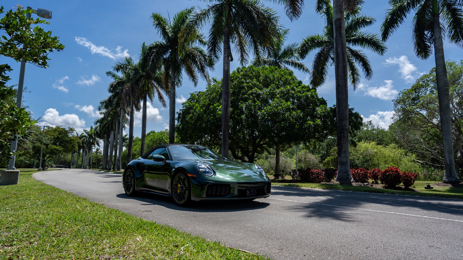 Green Porsche 911 Turbo S Cabriolet T-Hybrid on a palm-lined road
